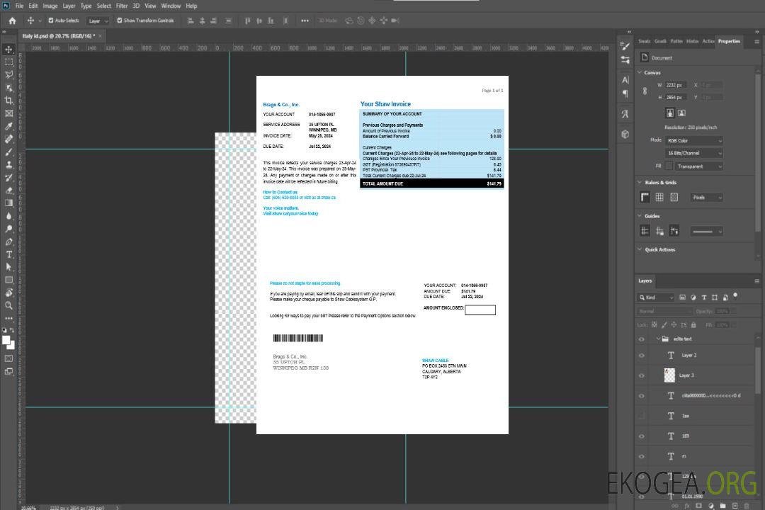 Modèle de facture de services publics d'entreprise de Canada Shaw aux formats Word et PDF template